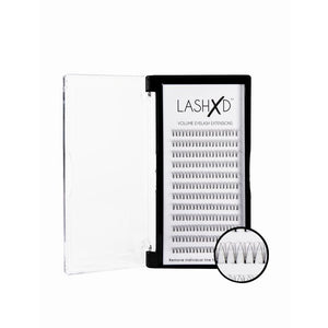 LashXD 3D C Curl 0.07 - 9-13mm