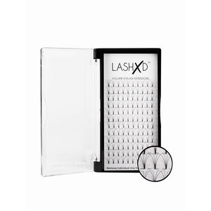 LashXD 4D C Curl 0.07 - 9-14mm